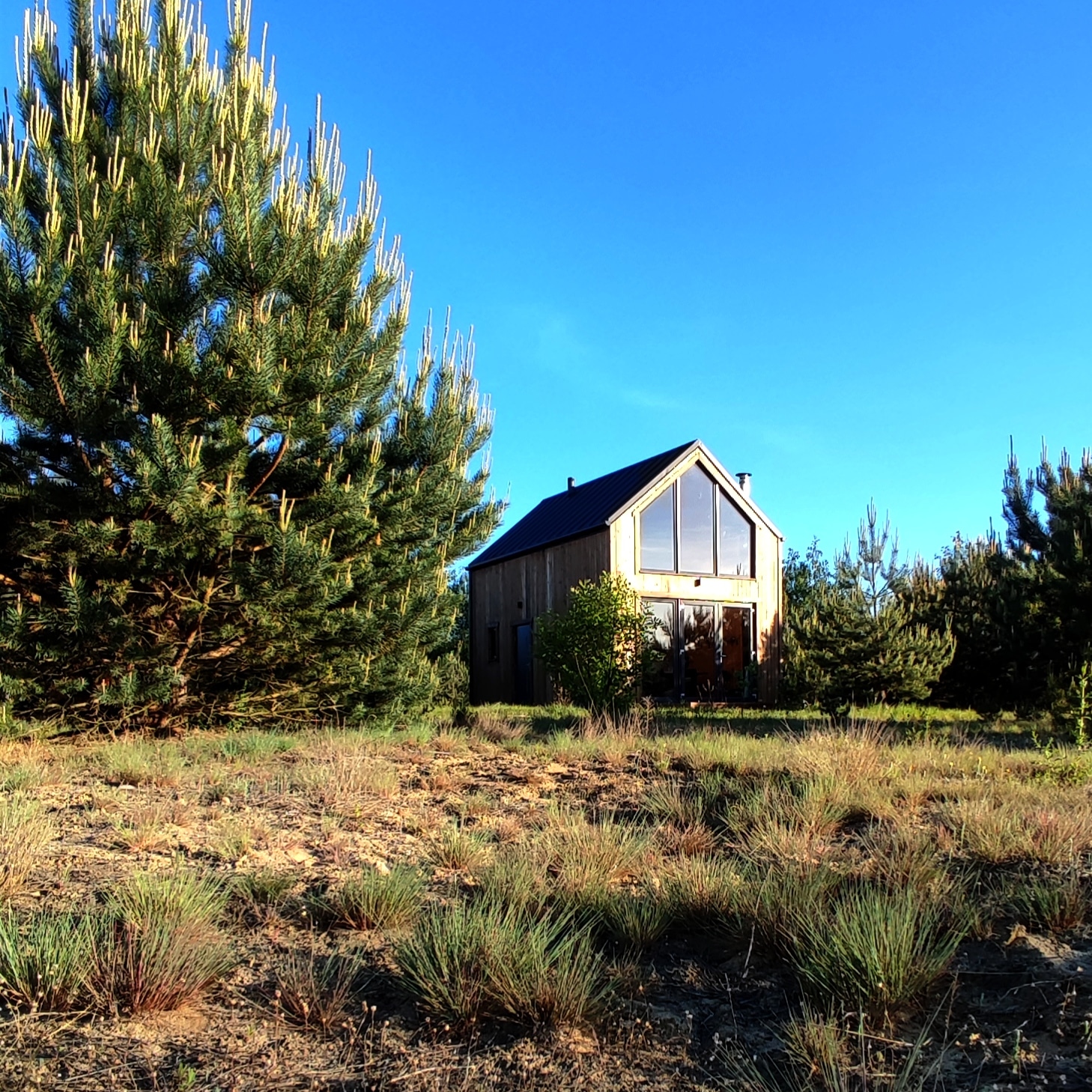 Miejsce na ognisko wieczorem