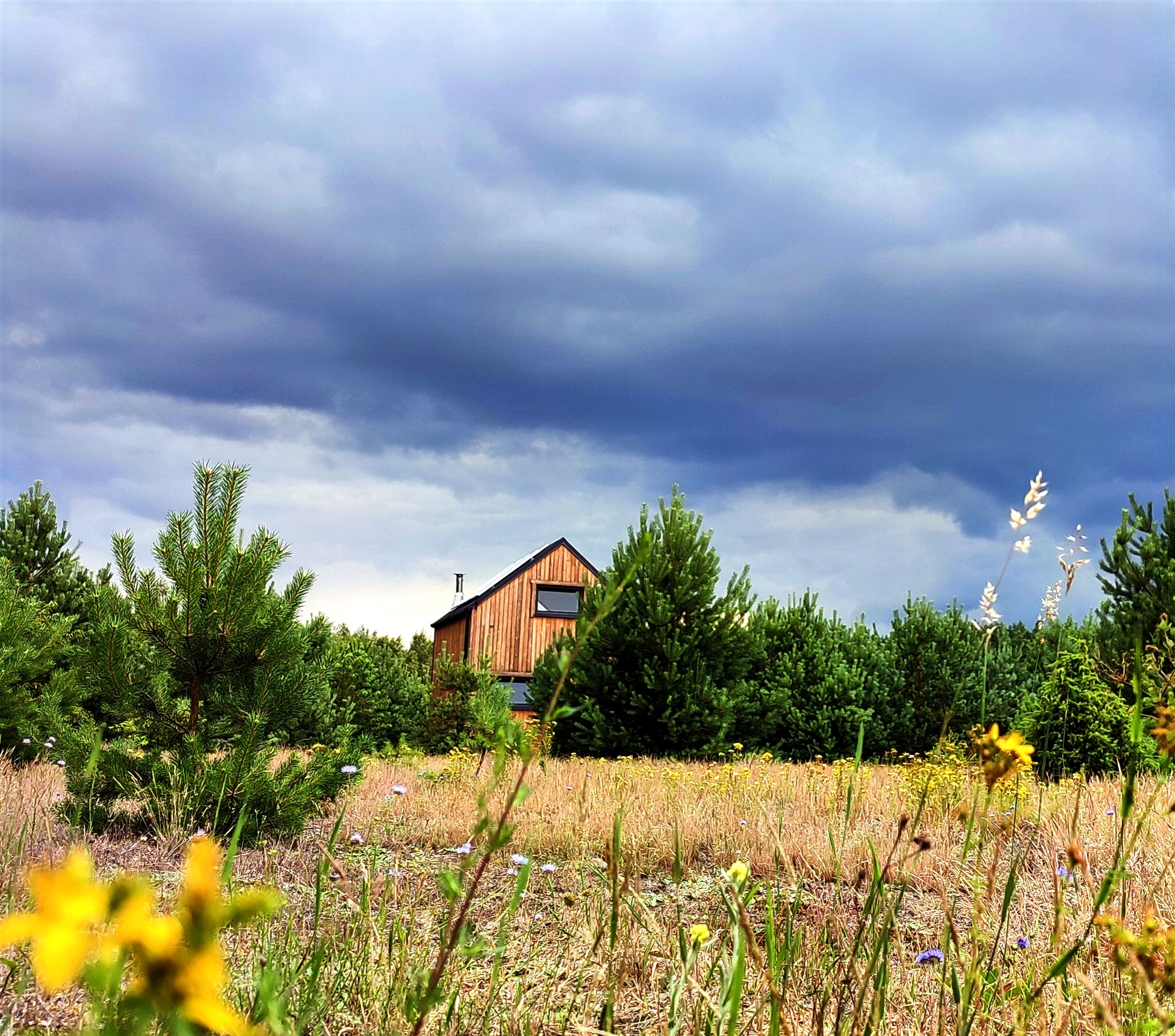 Przyjedź Tutaj — domki w sosnowym zagajniku