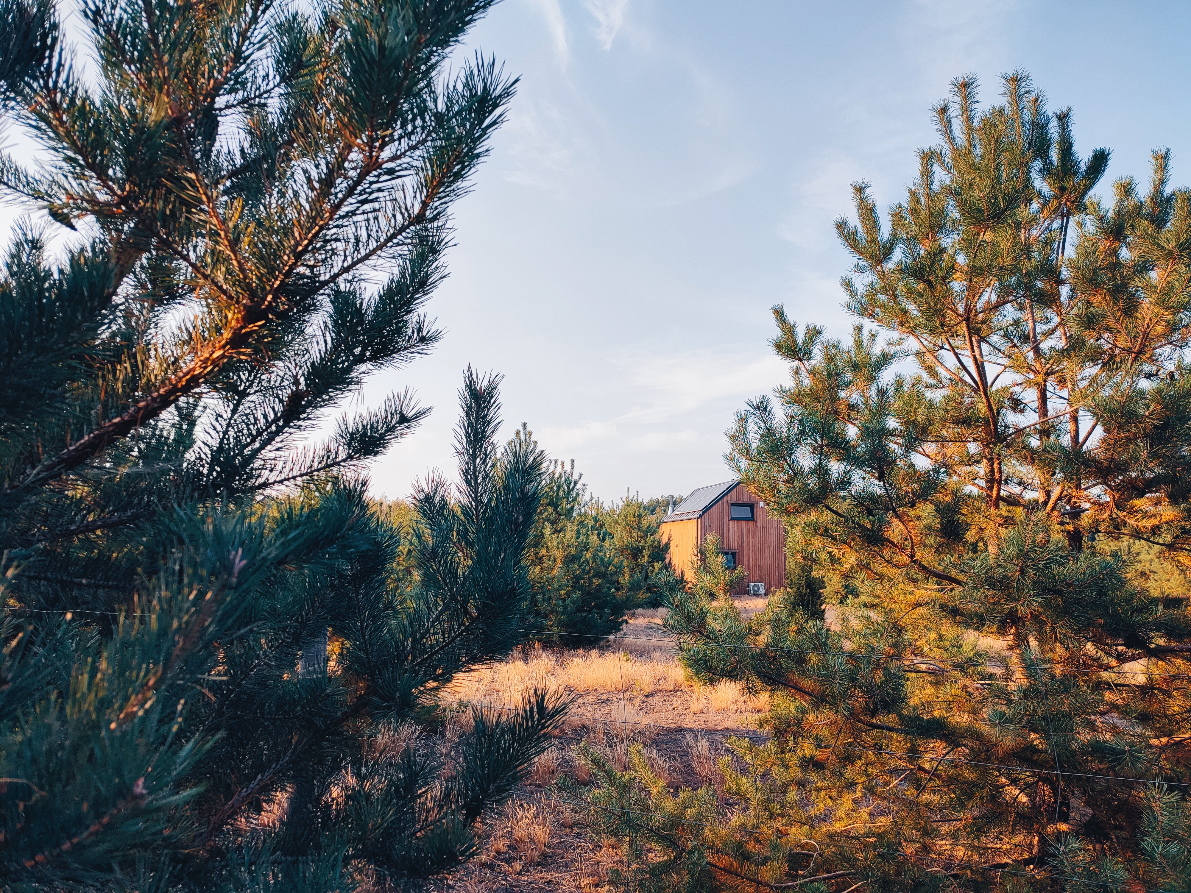 Teren — dwa hektary leśnej polany